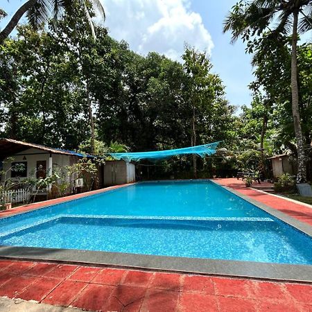 King Villa Goa Palolem Exteriér fotografie